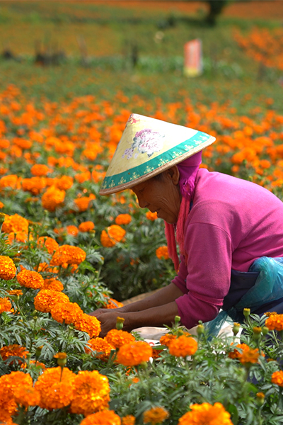 1_0000_00208bf0421725368cfa11017481dbe0